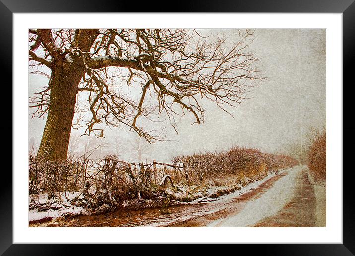 snowy kent country lane Framed Mounted Print by Dawn Cox