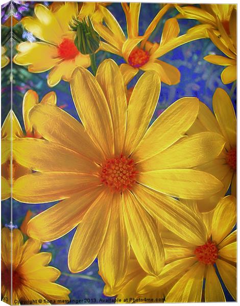 Daisy Delight Canvas Print by Fiona Messenger