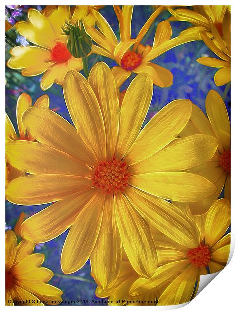 Daisy Delight Print by Fiona Messenger