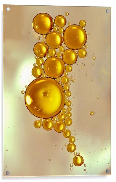 Oil Droplets Acrylic by Mike Gorton