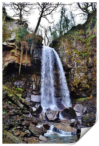 Melincourt Falls Print by Paula J James