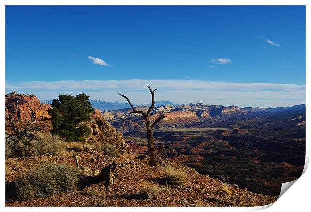 Capitol Reef impression, Utah Print by Claudio Del Luongo