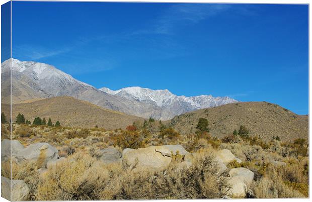 Majestic Sierra Nevada Canvas Print by Claudio Del Luongo