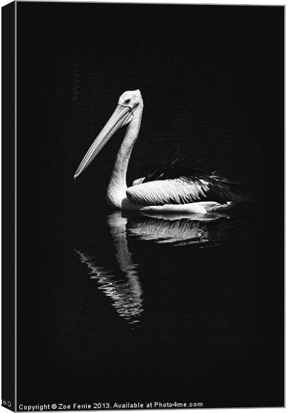 The Pelican Canvas Print by Zoe Ferrie