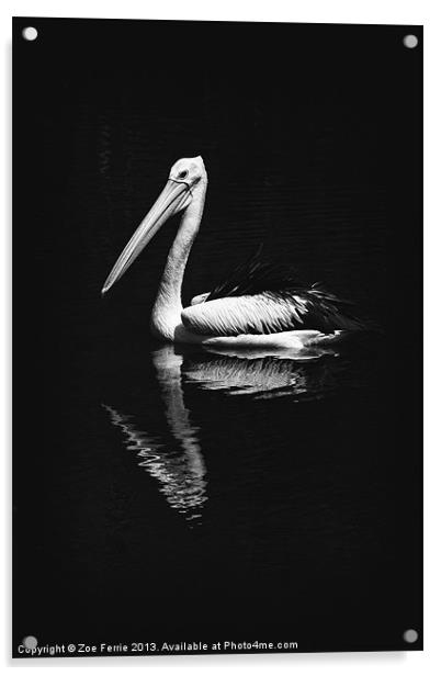 The Pelican Acrylic by Zoe Ferrie