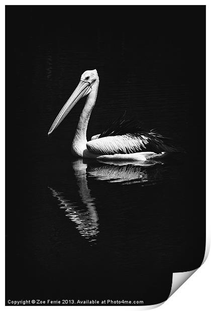 The Pelican Print by Zoe Ferrie