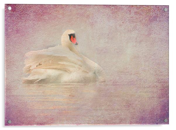 Swan Acrylic by Mike Sherman Photog