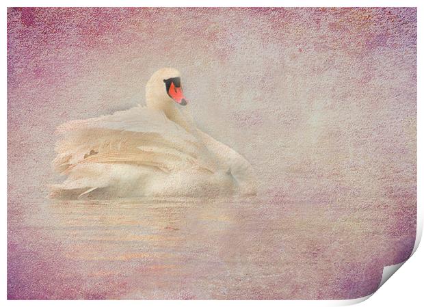Swan Print by Mike Sherman Photog