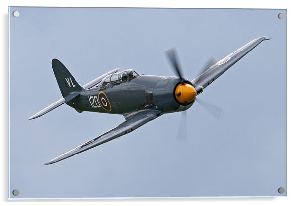 Hawker Sea Fury Acrylic by Rachel & Martin Pics