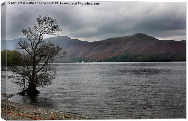 Lone Tree by Derwentwater Canvas Print by Catherine Fowler