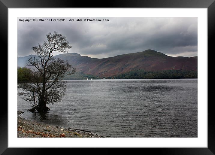 Lone Tree by Derwentwater Framed Mounted Print by Catherine Fowler
