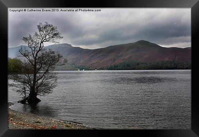 Lone Tree by Derwentwater Framed Print by Catherine Fowler