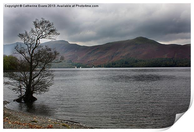 Lone Tree by Derwentwater Print by Catherine Fowler
