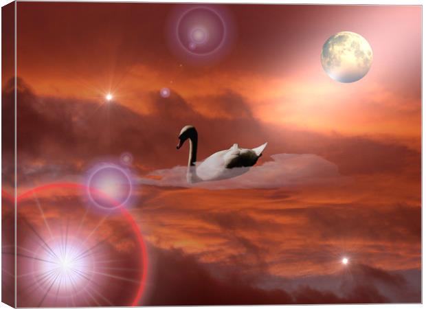 Sky Swanning! Canvas Print by Heather Goodwin