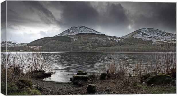 January on Loweswater Canvas Print by Cheryl Quine