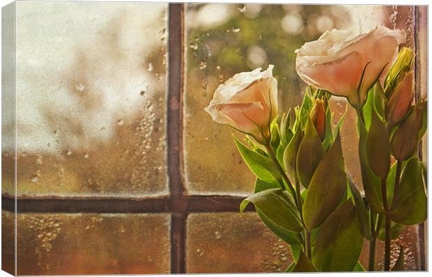 Another Rainy day Canvas Print by Dawn Cox