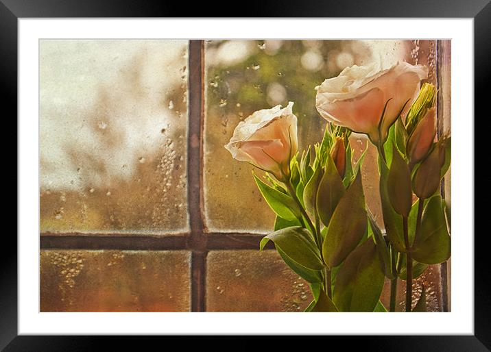 Another Rainy day Framed Mounted Print by Dawn Cox
