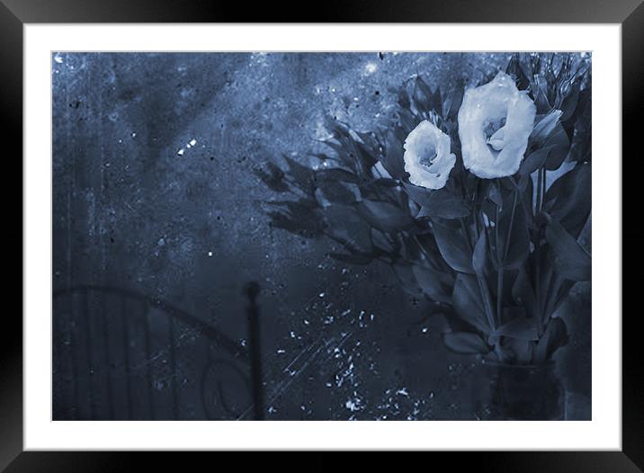 Midnight Framed Mounted Print by Dawn Cox
