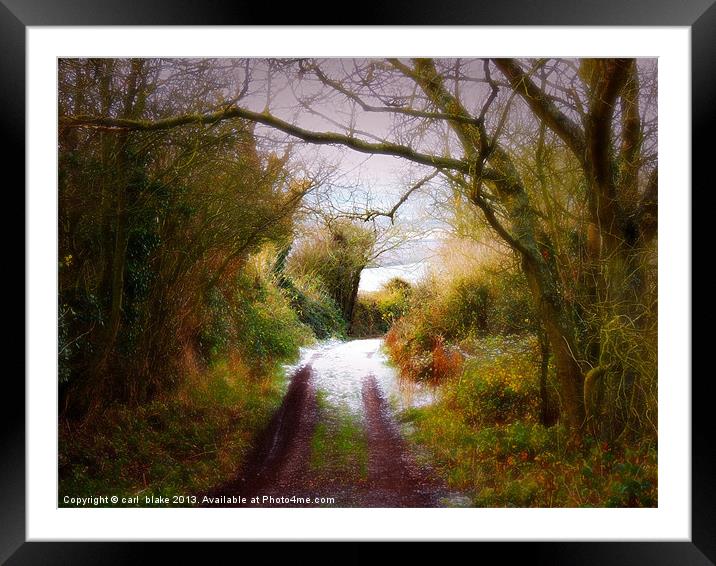the painted lane Framed Mounted Print by carl blake