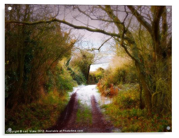 the painted lane Acrylic by carl blake