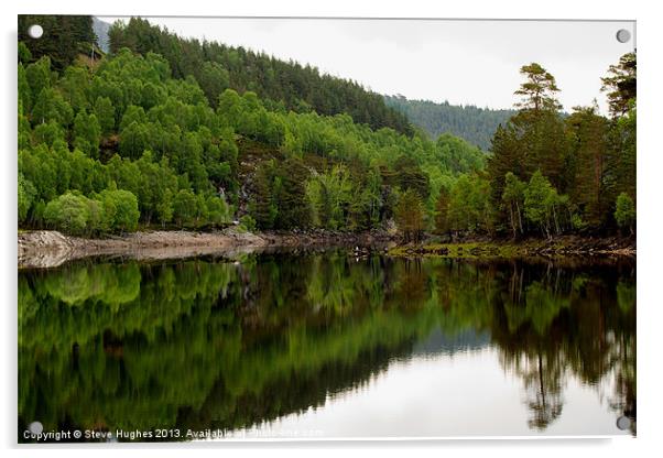 Tree lined Scottish Loch Acrylic by Steve Hughes