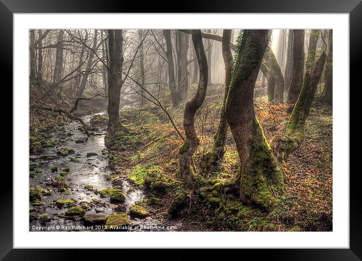 Mystic Woods Framed Mounted Print by Ray Pritchard