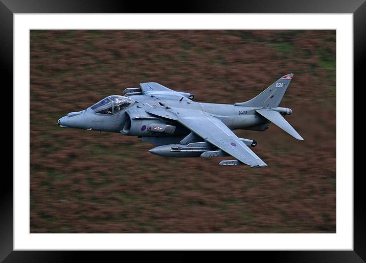 Harrier low level Framed Mounted Print by Rachel & Martin Pics