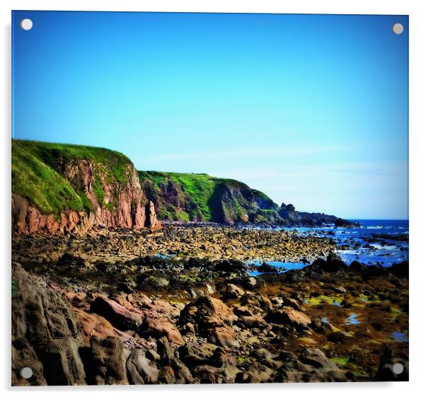 scotlands east coast Acrylic by dale rys (LP)