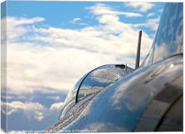 Ready to fly Canvas Print by Keith Campbell