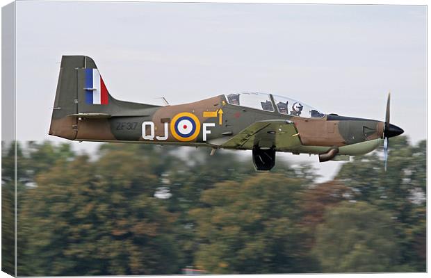 Tucano in camouflage Canvas Print by Rachel & Martin Pics