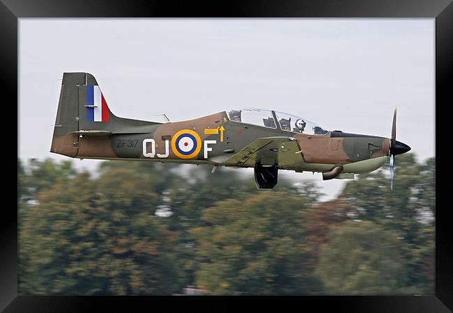 Tucano in camouflage Framed Print by Rachel & Martin Pics