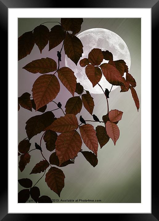 IN THE AUTUMN MOONLIGHT Framed Mounted Print by Tom York