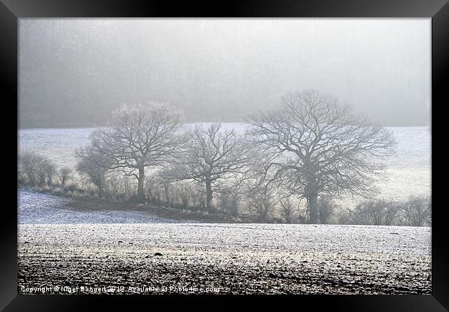 Snowscape Framed Print by Nigel Bangert