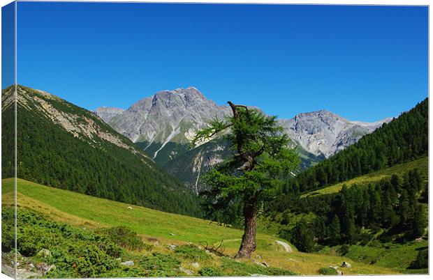 Struck by lightning, Switzerland Canvas Print by Claudio Del Luongo