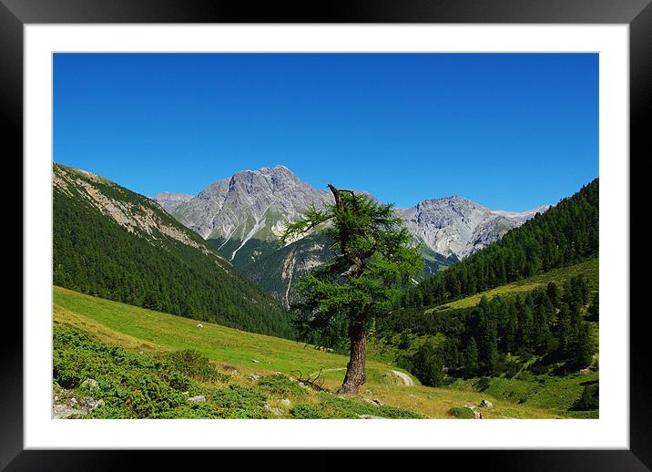 Struck by lightning, Switzerland Framed Mounted Print by Claudio Del Luongo