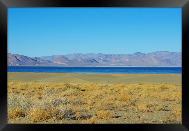 Blue Pyramid Lake, Nevada Framed Print by Claudio Del Luongo