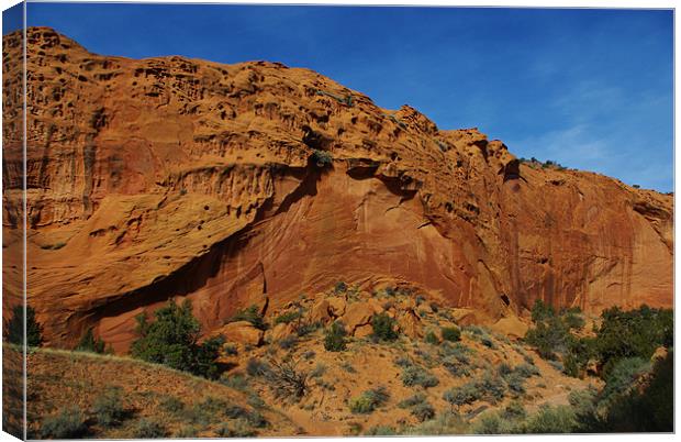Beautiful red rock wall, Utah Canvas Print by Claudio Del Luongo