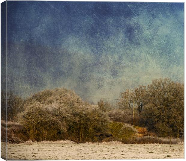 Corner of a field Canvas Print by Dawn Cox