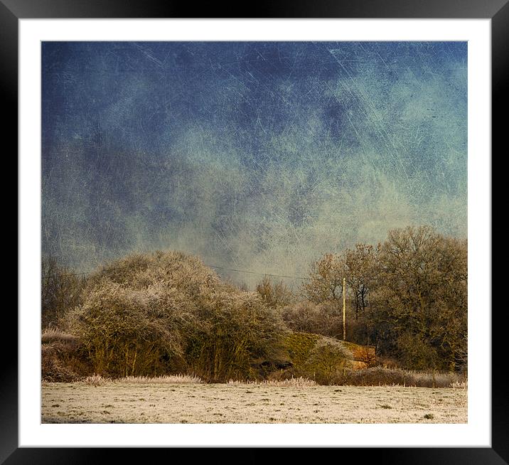 Corner of a field Framed Mounted Print by Dawn Cox