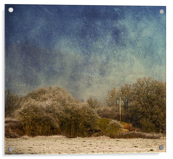 Corner of a field Acrylic by Dawn Cox