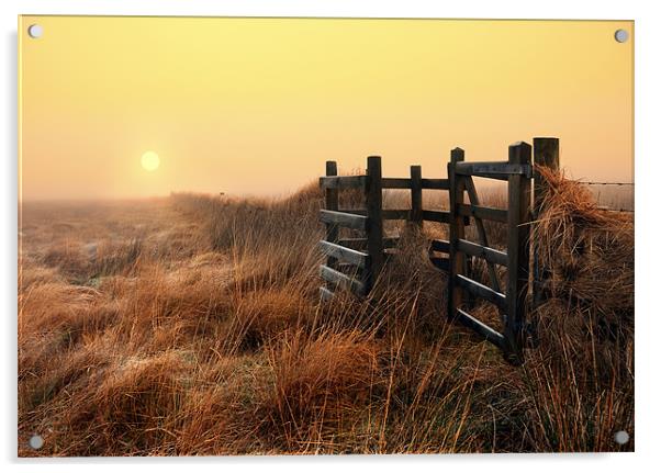 Moorland sunrise Acrylic by Robert Fielding