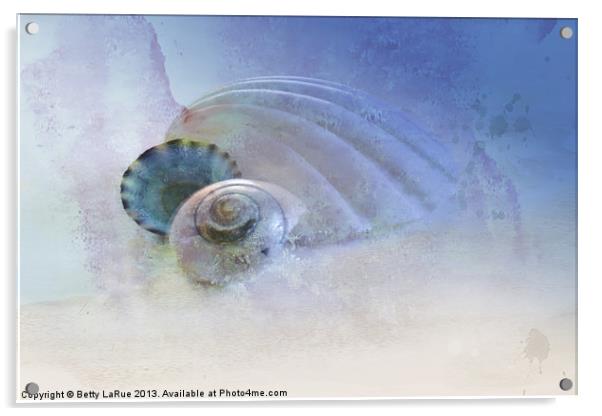 Three Sea Shells Acrylic by Betty LaRue