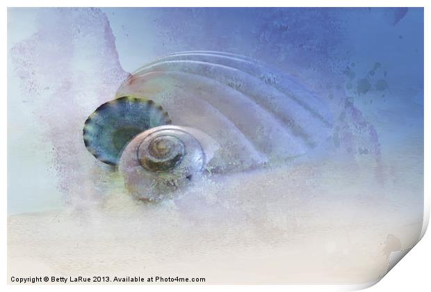 Three Sea Shells Print by Betty LaRue