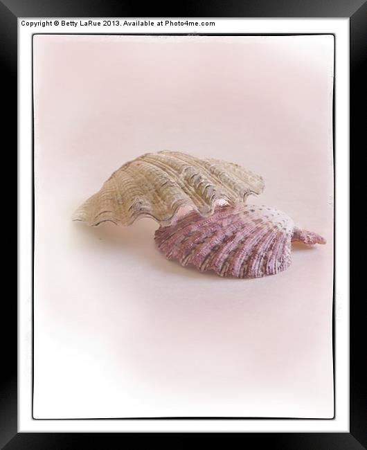 Sea Shell Love Framed Print by Betty LaRue