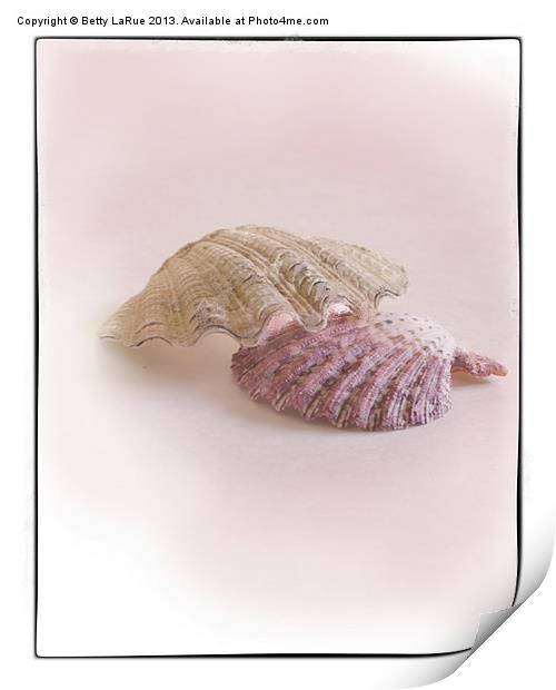 Sea Shell Love Print by Betty LaRue