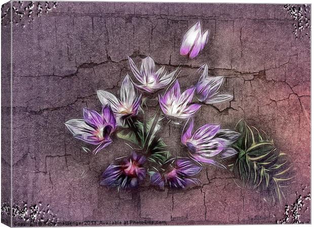 Blue Allium Flower Canvas Print by Fiona Messenger