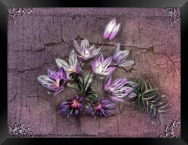 Blue Allium Flower Framed Print by Fiona Messenger