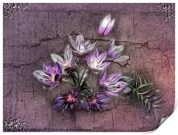 Blue Allium Flower Print by Fiona Messenger