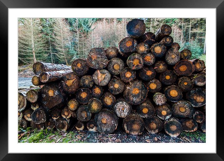 Pile of Logs Framed Mounted Print by Jonathan Swetnam