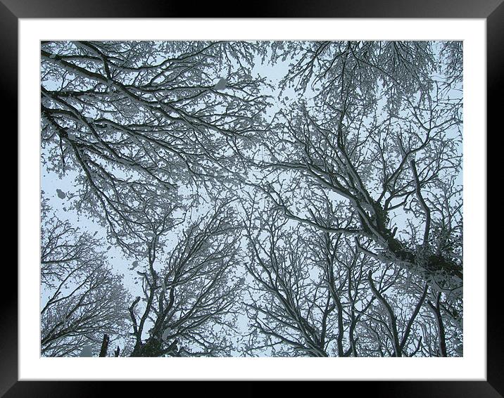 Snow-filled Skywards View  Framed Mounted Print by Lisa Bowman
